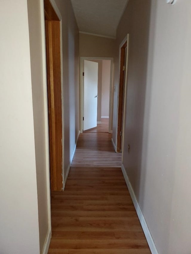 hall with light wood-type flooring and vaulted ceiling