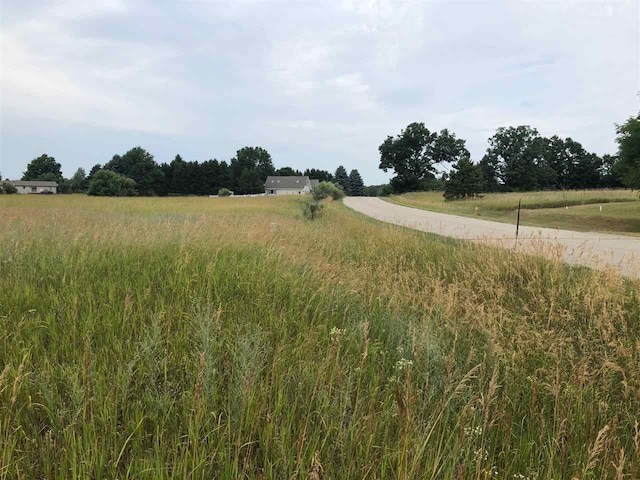 1003/1005 Pyrenees Dr, Lake Isabella, MI 48893 - photo 4