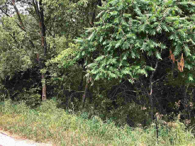1006/1008 Laredo Dr, Michigan, MI 48893