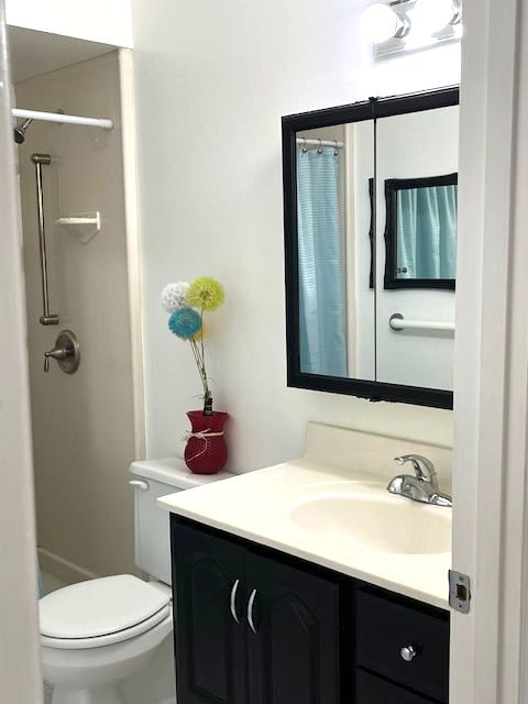 bathroom with toilet, vanity, and walk in shower