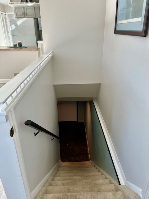 stairway with carpet floors