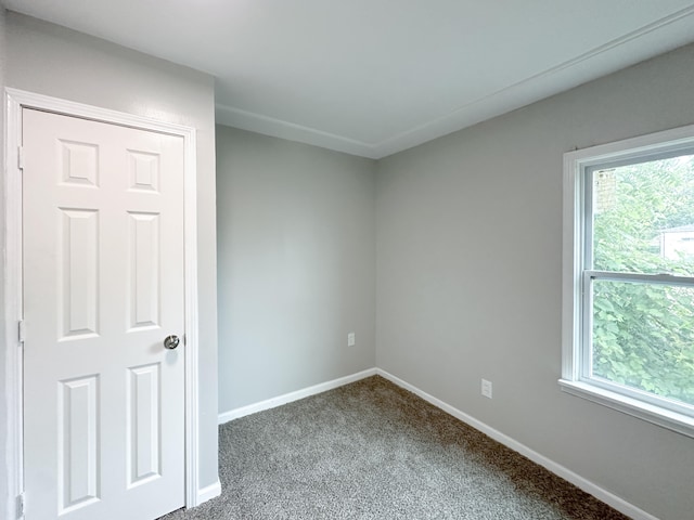 carpeted spare room featuring a wealth of natural light