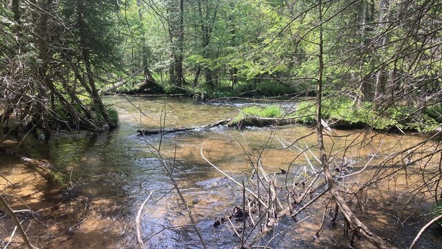 LOT6 Trosko Rd, Kalkaska, MI 49676