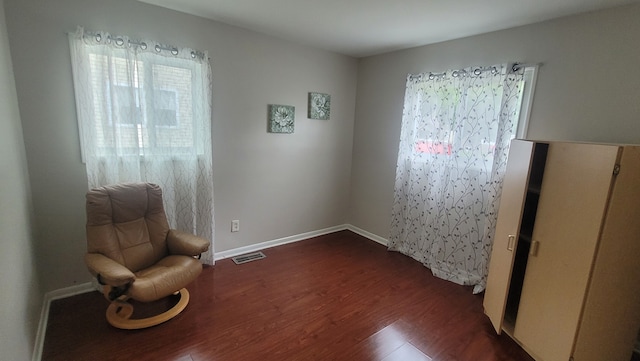 living area featuring dark wood-type flooring