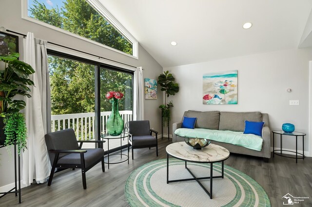 living room with hardwood / wood-style floors and high vaulted ceiling