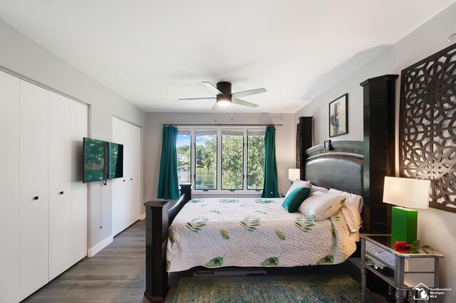 bedroom featuring dark hardwood / wood-style floors, two closets, and ceiling fan