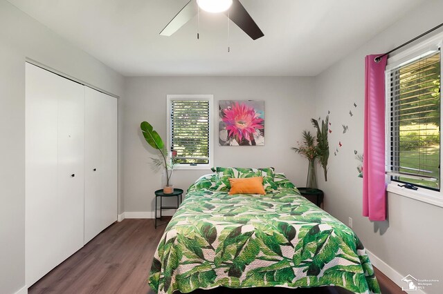 bedroom with hardwood / wood-style floors, ceiling fan, and a closet