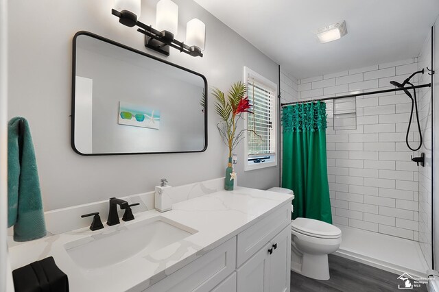 bathroom featuring vanity, wood-type flooring, toilet, and a shower with shower curtain