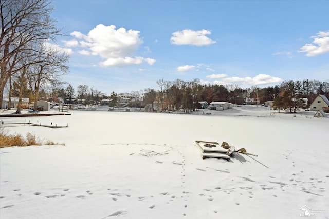 view of yard covered in snow