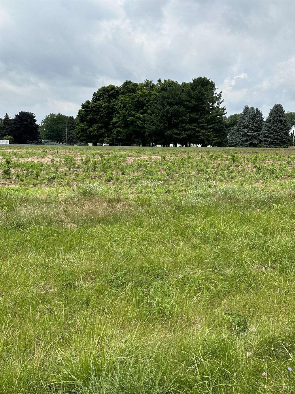 ParcelA Fieldstone Drive, Tecumseh, MI 49286