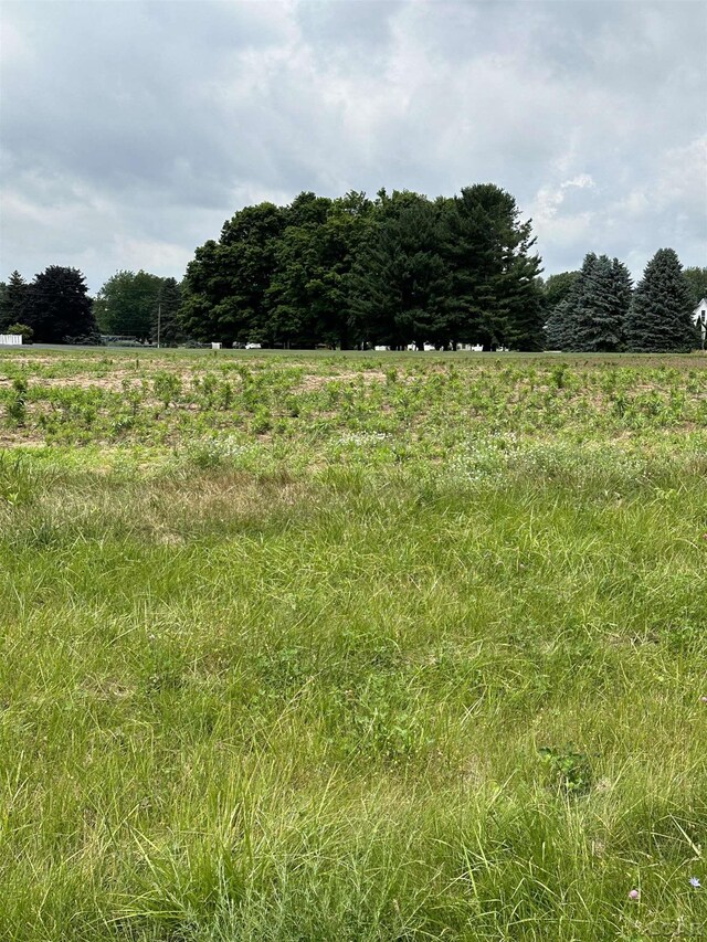 ParcelA Fieldstone Drive, Tecumseh, MI 49286