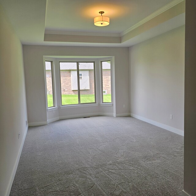 spare room with crown molding, carpet, and a tray ceiling