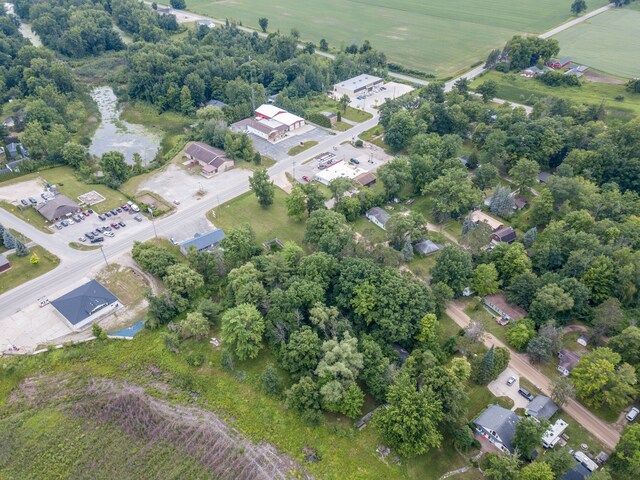 3983 S Pine Rd, Beaverton, MI 48612