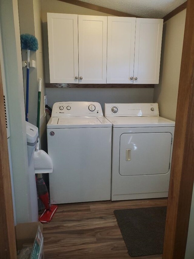 5232 E Broadway, Mount Pleasant, MI 48858 - laundry area with independent washer and dryer, cabinet space, and dark wood-style flooring