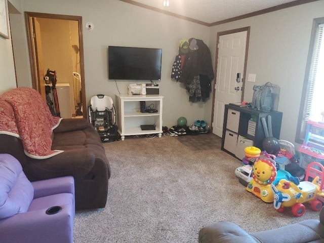 living room with carpet and ornamental molding