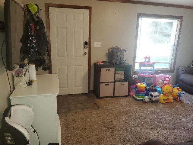 5232 E Broadway, Mount Pleasant, MI 48858 - rec room with brick patterned floors