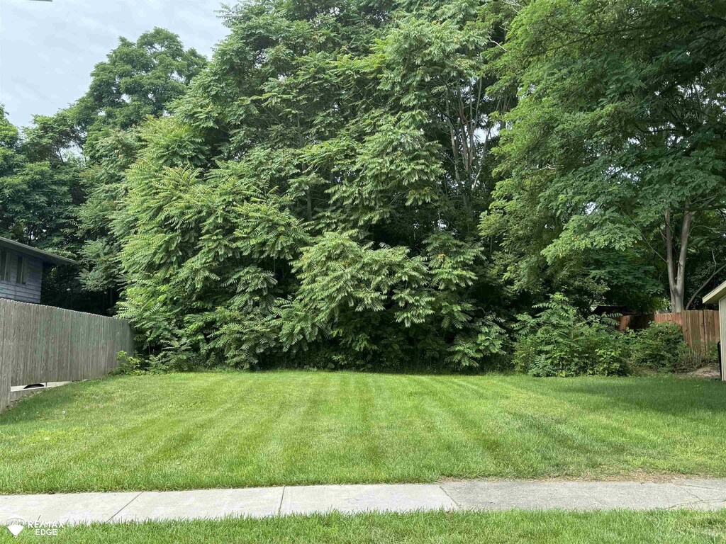 517 Lyon St, Flint, MI 48503 - photo 1