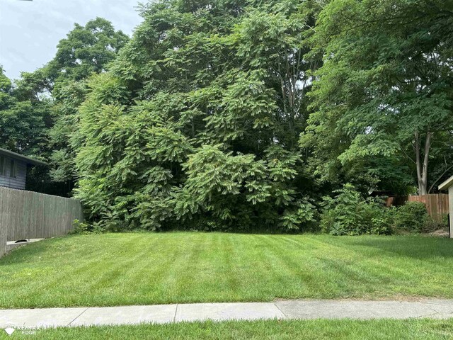 517 Lyon St, Flint, MI 48503 - photo 1
