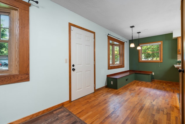 entryway featuring hardwood / wood-style flooring