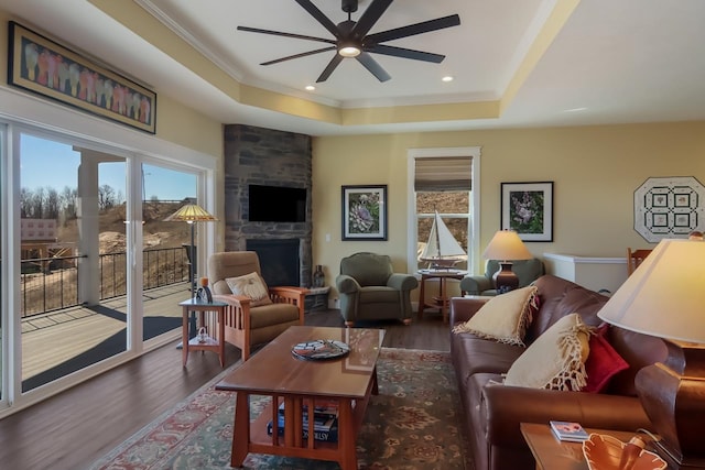 living room featuring plenty of natural light, a fireplace, a raised ceiling, and dark wood-type flooring