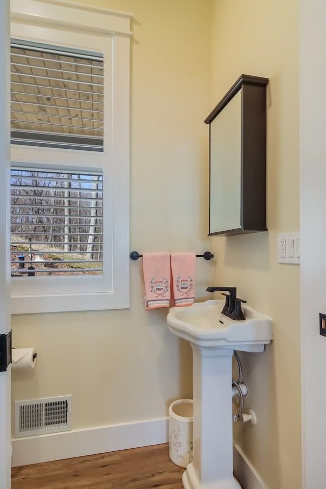 bathroom featuring wood-type flooring