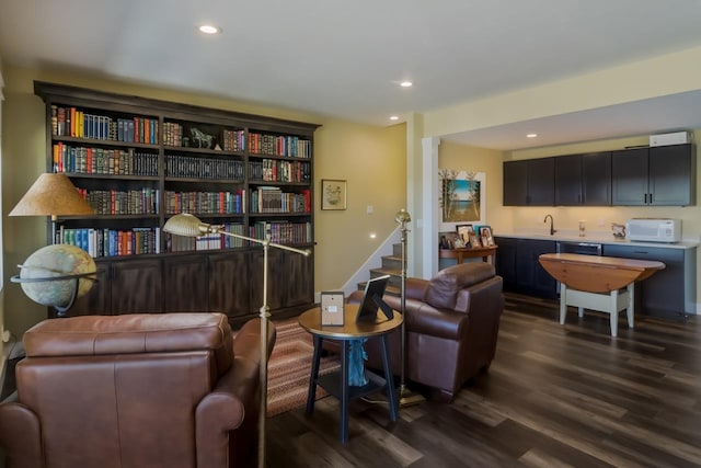 sitting room featuring sink and dark wood-type flooring