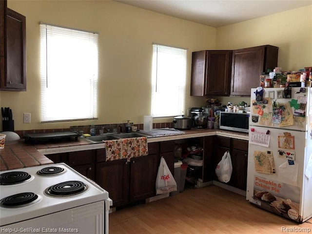 kitchen with light wood-type flooring, white appliances, sink, and dark brown cabinetry