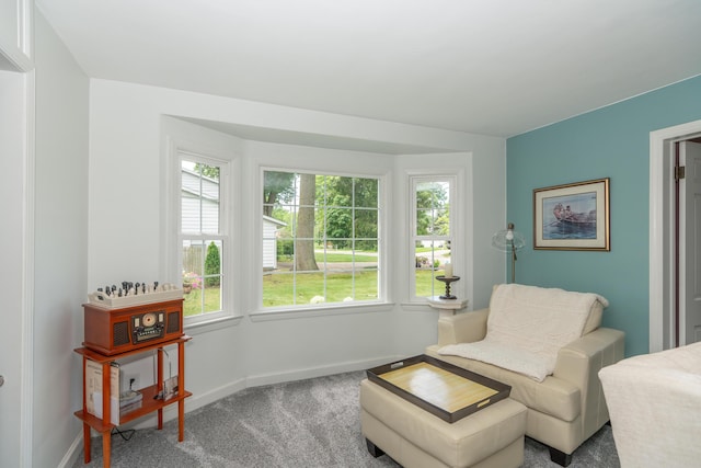 609 3rd St, Muskegon, MI 49445 - sitting room featuring carpet flooring, healthy amount of natural light, and baseboards