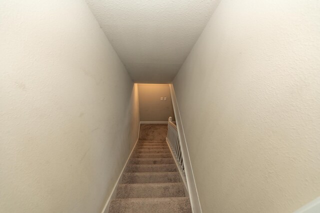 609 3rd St, Muskegon, MI 49445 - staircase featuring carpet flooring and baseboards