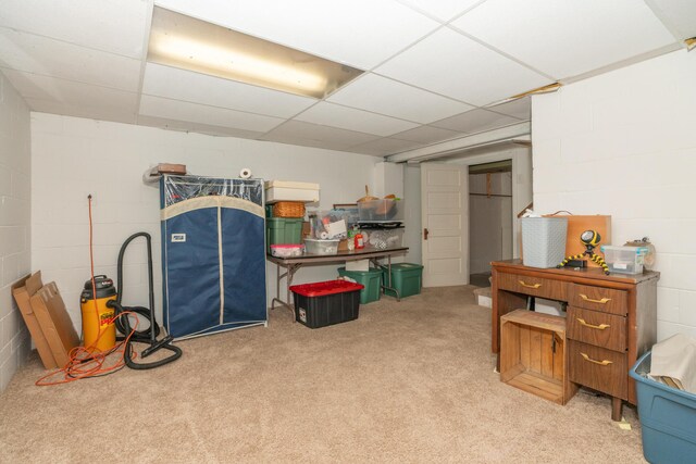 609 3rd St, Muskegon, MI 49445 - finished below grade area featuring concrete block wall, carpet floors, and a drop ceiling