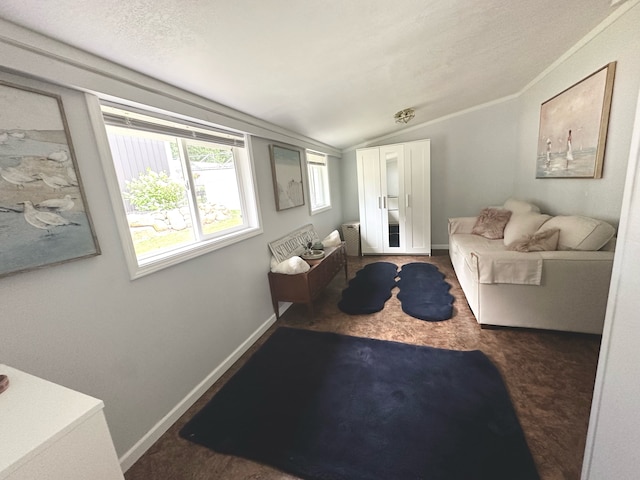 living room featuring dark carpet, a textured ceiling, and vaulted ceiling