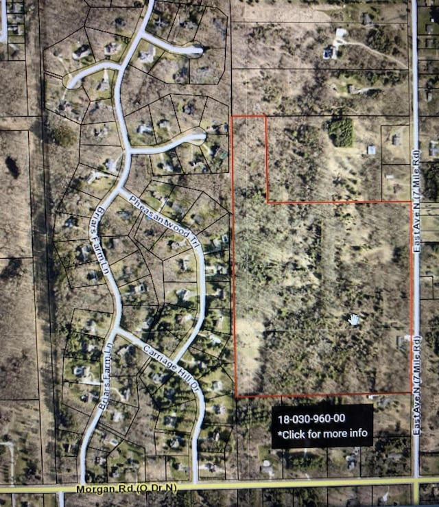 19687 E Ave N, Battle Creek, MI 49017 - photo 6