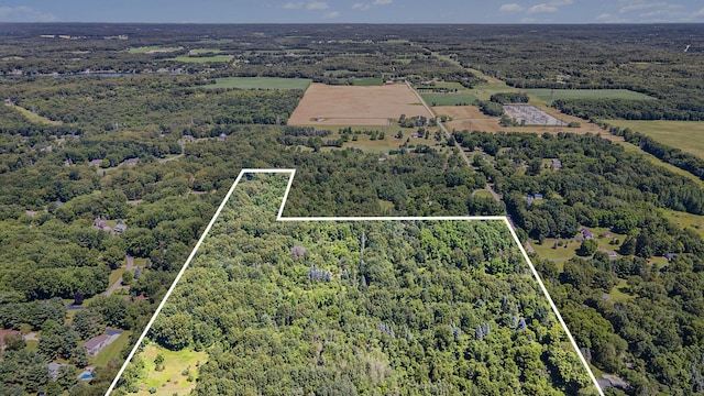 19687 E Ave N, Battle Creek, MI 49017 - photo 12