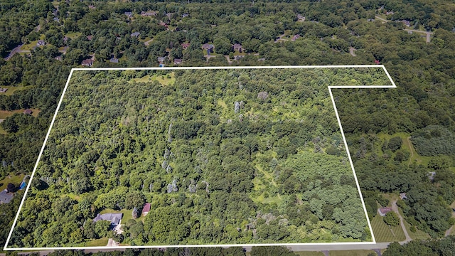 19687 E Ave N, Battle Creek, MI 49017 - photo 13