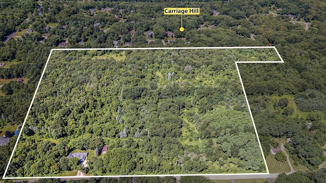 19687 E Ave N, Battle Creek, MI 49017 - photo 4