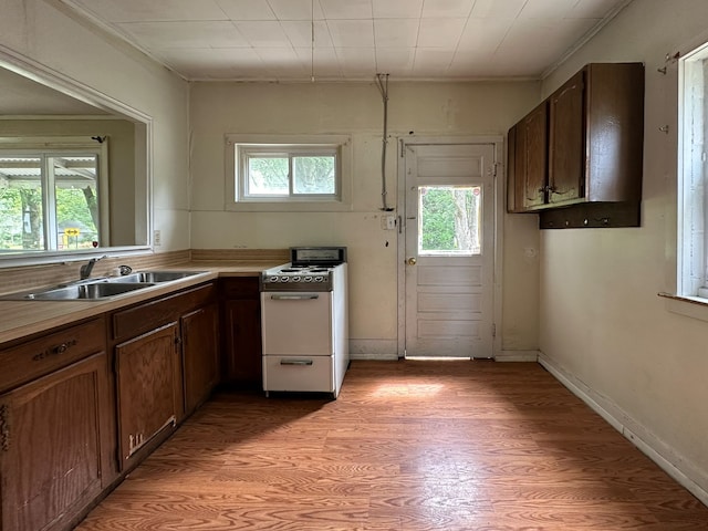 kitchen with ornamental molding, white range oven, light hardwood / wood-style floors, and sink