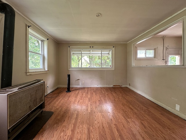 spare room featuring a healthy amount of sunlight and wood-type flooring