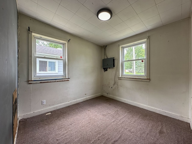 spare room featuring electric panel and carpet floors