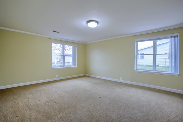 carpeted spare room featuring crown molding