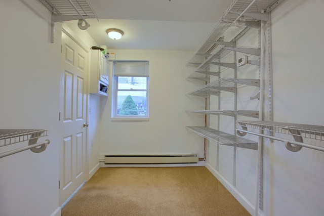 46070 Edgewater Dr, Chesterfield, MI 48047 - storage area featuring baseboard heating