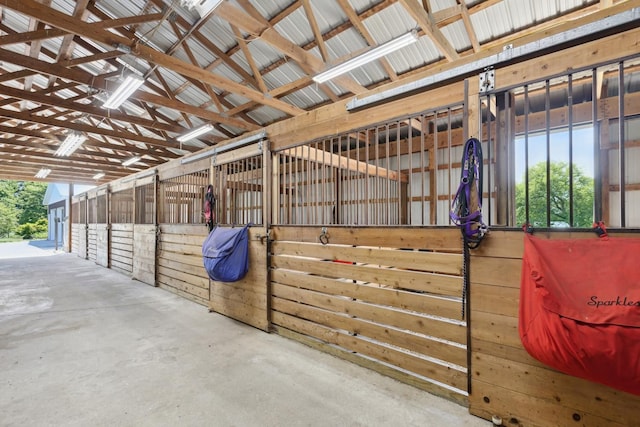 view of horse barn