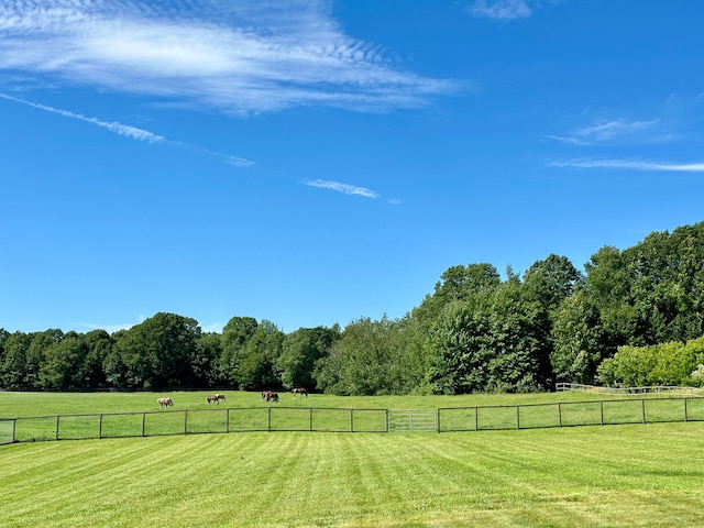 view of yard featuring a rural view