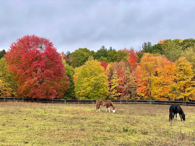 view of property's community featuring a rural view