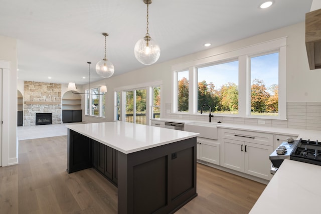 kitchen with hardwood / wood-style floors, stainless steel dishwasher, white cabinetry, and sink