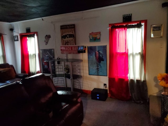 14153 Manning St, Detroit, MI 48205 - view of carpeted living area