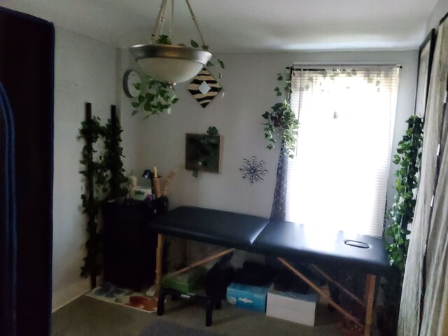 14153 Manning St, Detroit, MI 48205 - view of dining space