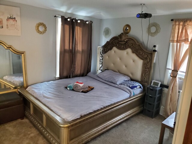 14153 Manning St, Detroit, MI 48205 - view of carpeted bedroom