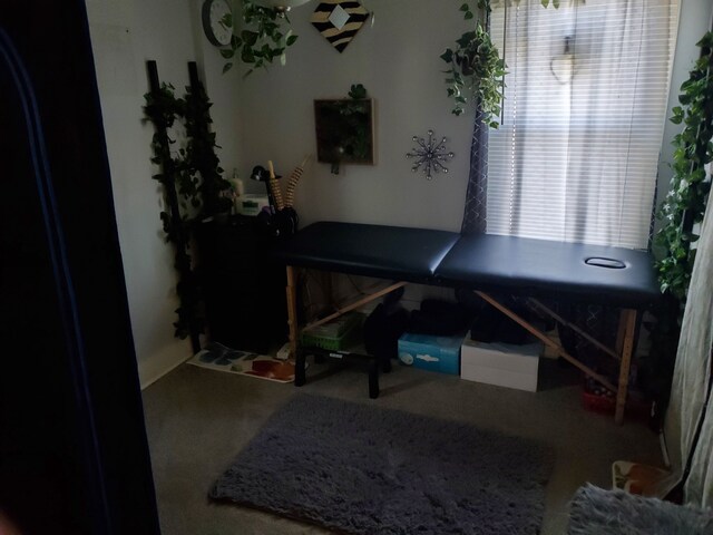 14153 Manning St, Detroit, MI 48205 - office with baseboards