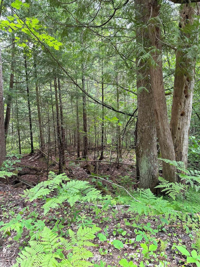 LOT42 Birchcrest, Kalkaska, MI 19646 - photo 1