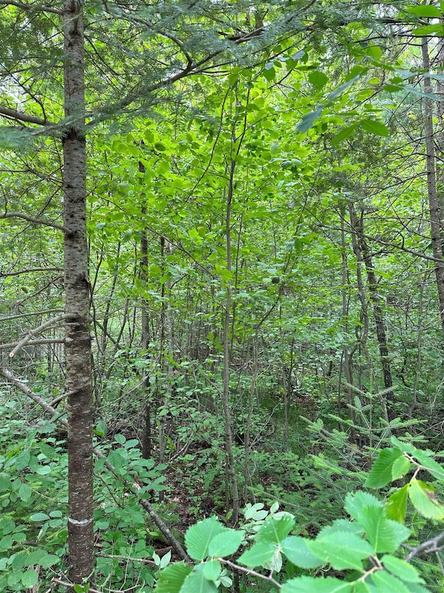LOT42 Birchcrest, Kalkaska, MI 19646 - photo 2